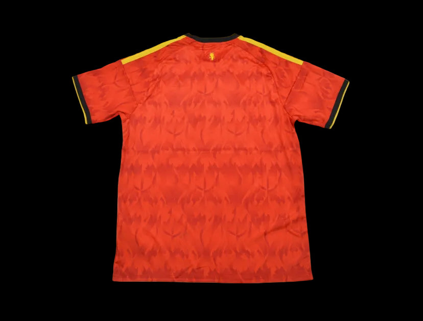 Belgio Home 25/26