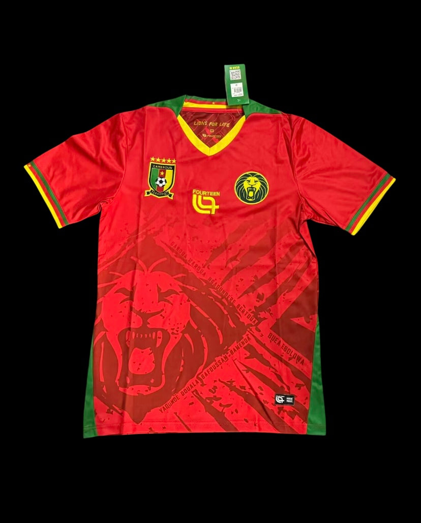 Camerun 25/26