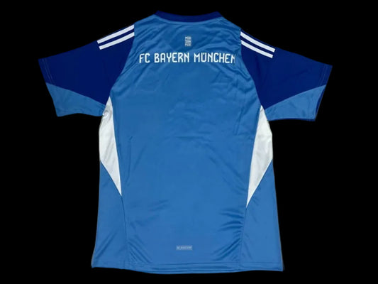 Bayern Monaco Portiere 25/26